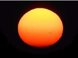 Silhouette of Bird Flying in Front of Sun Globe, Ft. Myers, Florida, USA