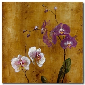 Orchid Bloom I