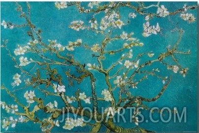 Almond Blossom