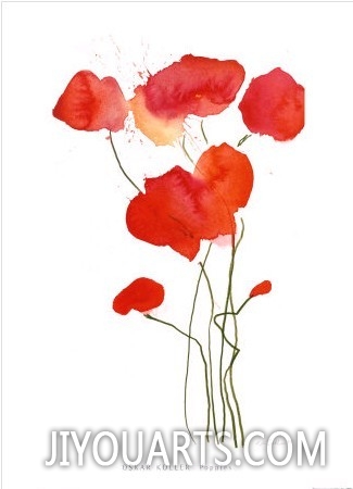 Poppies