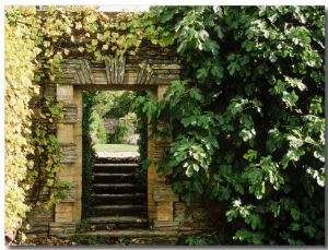 Arch Way in Ornamental Stone Wall with Fig & Vitis