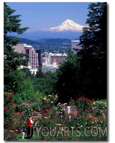 People at the Washington Park Rose Test Gardens with Mt Hood, Portland, Oregon, USA