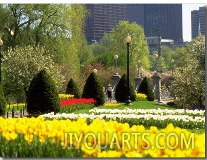 Public Gardens, Boston, MA