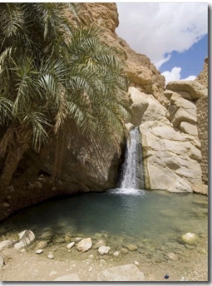 Desert Oasis, Chebika, Tunisia, North Africa, Africa