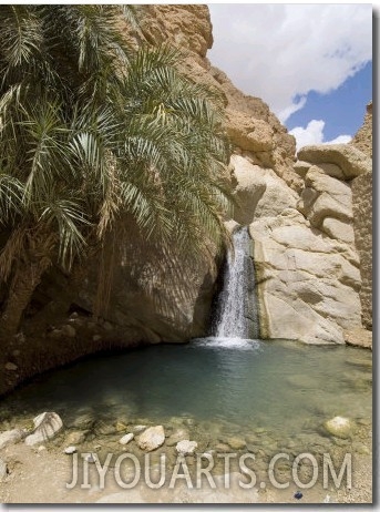 Desert Oasis, Chebika, Tunisia, North Africa, Africa