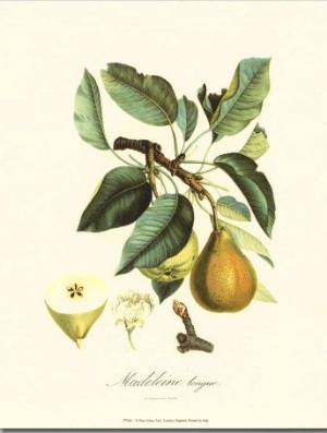 Pear