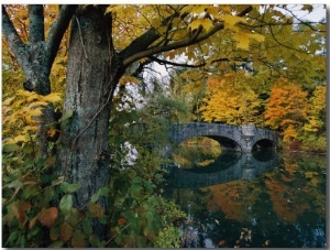 Autumnal View of a Stone Bridge