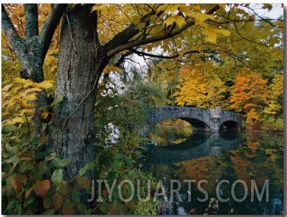 Autumnal View of a Stone Bridge