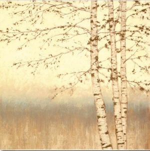 Birch Silhouette II