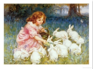 Feeding the Rabbits