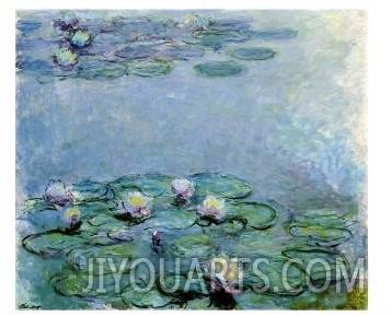 Water Lilies, Nympheas