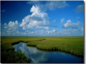 Marsh Canal in Oyster Bayou