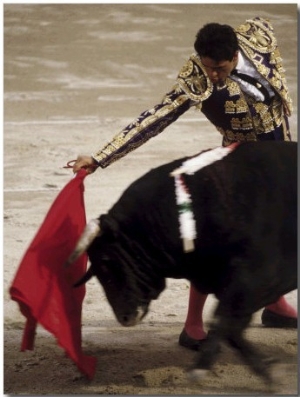 Spanish Bullfighter Camargue France