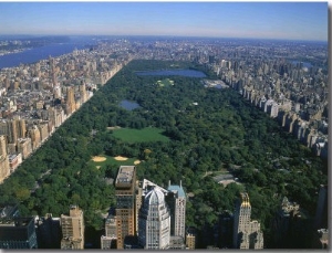 Aerial View of Central Park, NYC