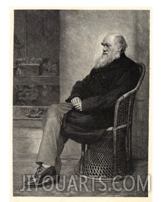 Charles Darwin English Naturalist Sitting in a Chair