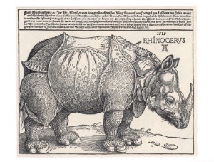 The Indian Rhinoceros is the Largest of the Asian Spiecies