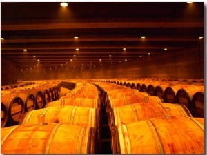 Barrel Room at Opus One, Napa Valley, California