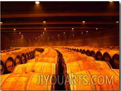 Barrel Room at Opus One, Napa Valley, California