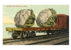 Giant Cauliflower on Flatbed