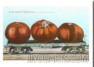 Giant Tomatoes on Flatbed