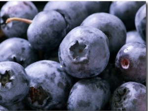 Blueberries