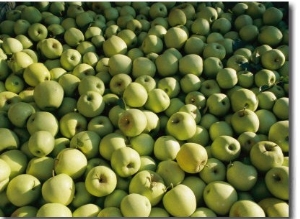 Green Apples are Piled High