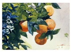 Oranges on a Branch, 1885