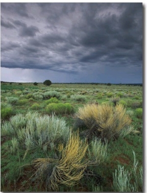 Sage and Storm Clouds Near Gallup