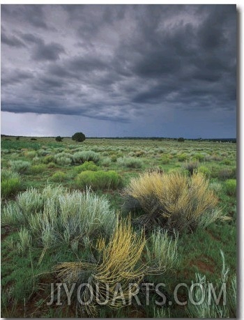 Sage and Storm Clouds Near Gallup