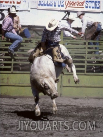 Bull Riding, Utah, USA