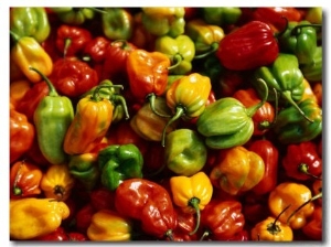 Capsicums at Brixton Market, Brixton, London, England