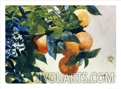 Oranges on a Branch, 1885