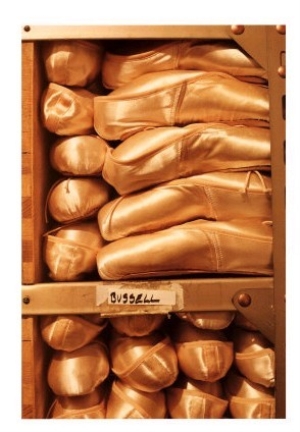 Pointe Shoes