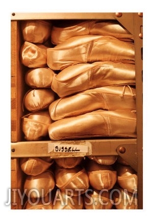 Pointe Shoes