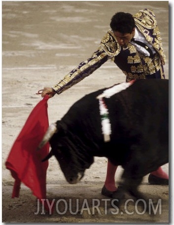 Spanish Bullfighter Camargue France