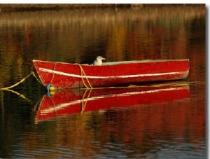A Gull Rests on an Old Rowboat