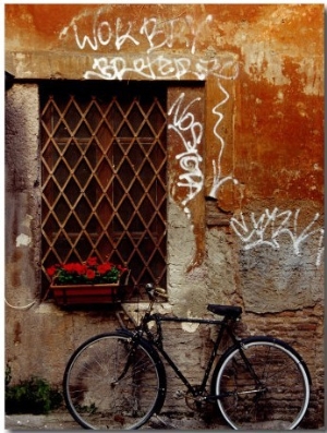 Bicycle Against Wall at Trastavere, Rome, Lazio, Italy