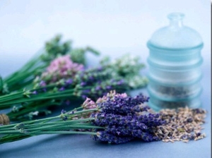 Cut Lavender, Dried Lavender & Glass Pot