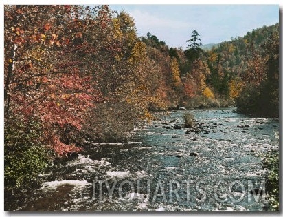 An Autumn Scene Along Little River in Tennessee
