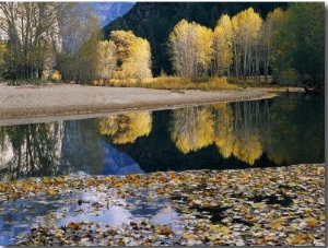 Autumn View Along the Merced River