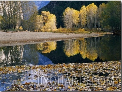 Autumn View Along the Merced River