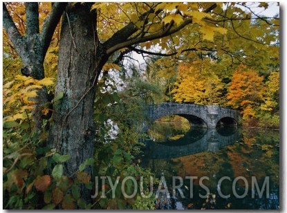 Autumnal View of a Stone Bridge