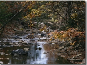 Autumnal View of This Picturesque River