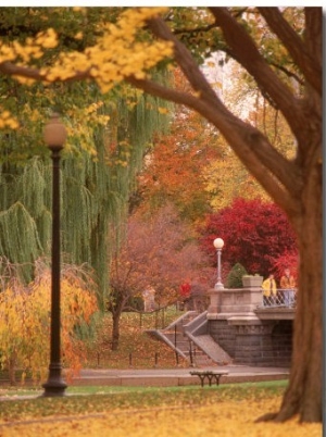 Public Gardens in Autumn, Boston, MA