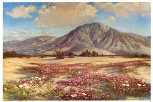 Desert in Spring