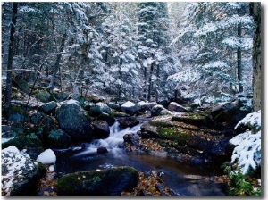 Adirondack Mountains, Lake Placid, NY