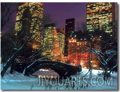 NYC, Central Park Snow and Plaza Hotel