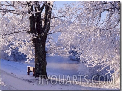 Winter Scene Beside the River Tay, Aberfeldy, Perthshire, Scotaland, UK