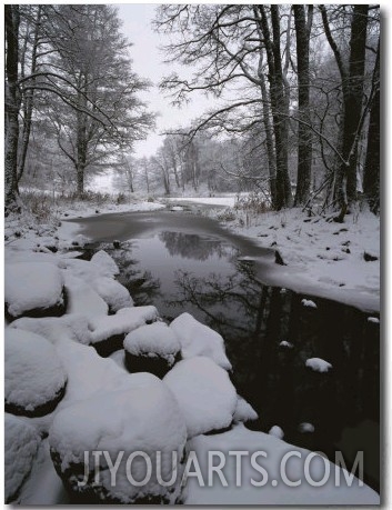 Winter Scene of Creek with Snow Covered Banks
