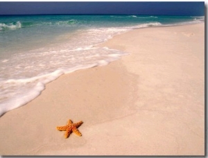 Gulf Island National Seashore, Santa Rosa Island, Florida